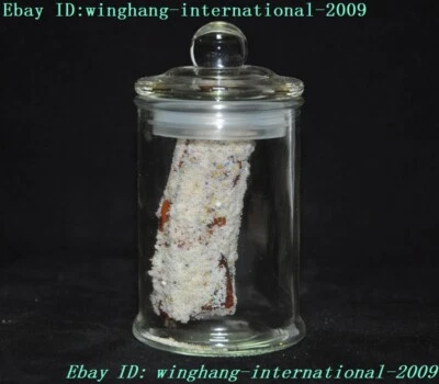 Reliquias de templo tibetano de rareza de 3" Nirvana Buda reliquia de cremación relicario maceta de hueso Foto 1 de 4