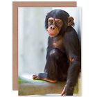 Birthday Animal Photo Monkey Cute Baby Chimp Blank Greeting Card With Envelope