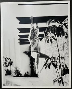 George Barris, Marilyn Monroe "Ohne Titel", Originalfoto vom Originalnegativ - Bild 1 von 2