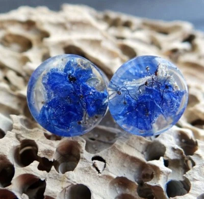 Blue plug and tunnel with Pressed flowers Ear gauges 2g 00g Double flared pair - Image 1 of 4