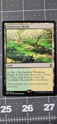 Windswept Heath Khans of Tarkir 248/269 - Image 1 of 4
