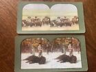 Two (2) 1900 Stereograph Color Cards Bison Hunting / Stereoviews