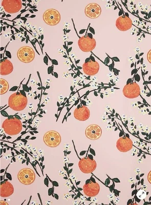 New Anthropologie Carly Beck Arance Dolci Fruit Floral Wallpaper Mural Pink - Image 1 of 4
