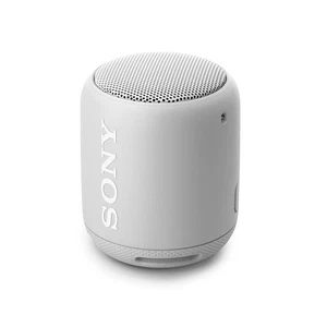 Sony Wireless Potable Speaker SRS-XB10: Grayish White SRS-XB10 W - Picture 1 of 9