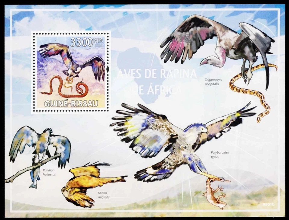 GUINEA BISSAU 4419K - 白头秃鹫 "Trigonoceps occipitalis" (pc33425) — 第 1/1 张图片