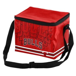 NBA Chicago Bulls 2015 Insulated Lunch Bag Cooler (12Pack Size) - Picture 1 of 5