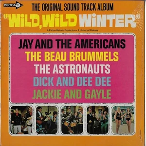 WILD WILD WINTER soundtrack LP DECCA_orig 1965 BEAU BRUMMELS_ASTRONOUTS_etc. - Picture 1 of 4