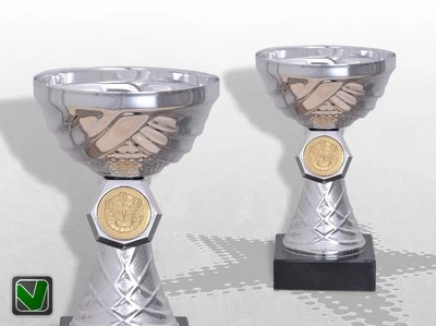 VEREINSSTORE Pokale mit Gravur SILVERDAY 3 - Sportpreise Ehrenpreise Trophäen Pokalserien TOP