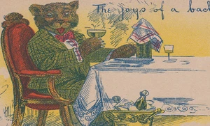 Dressed Bear Having a Cocktail Joys of a Bachelors Life Postcard - Picture 1 of 3