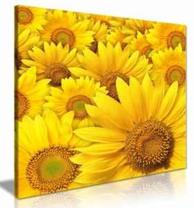 Yellow Sunflower Canvas Wall Art Picture Print - Picture 1 of 5