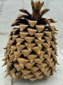 Giant Coulter Pine Cone California Widow Maker Natural Hooked Tips 9.5”X7.5” - Picture 1 of 11