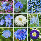 Wildflower Mix BLUE RIBBON w/Perennials Pollinators HEIRLOOM Non-GMO 500+ Seeds!