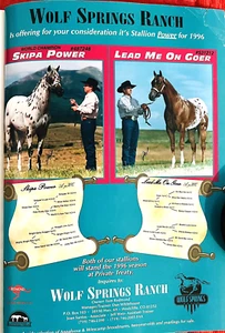1996 APPALOOSA JOURNAL News, Vintage Magazine - SKIPA POWER - LEAD ME ON GOER - Foto 1 di 18