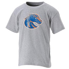 NCAA Boise State Broncos Youth Short Sleeve Tee T-shirt NWT size LG 12 