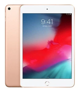 iPad mini 7.9 inch 5th Generation 256GB Wi Fi Model Gold ... - Picture 1 of 1