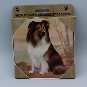 World's Most Absorbent Stone Coaster Sheltie Dog - Picture 1 of 1