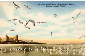 Vintage Postkarte SEEMÖWEN WELTBERÜHMTESTE DAYTONA BEACH 1940er Leinen Neu aus altem Lagerbestand - Bild 1 von 2