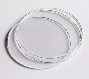 Juego de 2 posavasos redondos cuadrados transparentes alfombrillas almohadilla bebidas mesa vasos 6 mm - Imagen 1 de 9