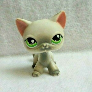 Petshop Chat Gris Ebay
