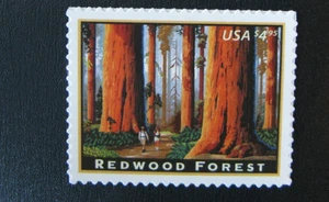 US STAMPS, $4.95 Redwood Forest Priority Mail , Scott 4378, mint NH - Picture 1 of 1