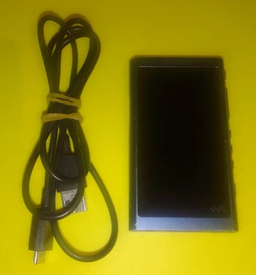 New Battery Needed - Sony NW-A55L 16GB Walkman Portable Digital Music Player - Image 1 of 2