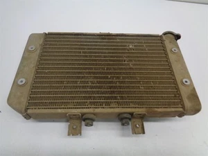 2005 Polaris Predator 500 Radiator w Fan Switch Temp Sensor 1240130 - Bild 1 von 11