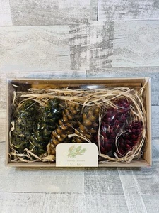 Vance Kitira Scented Wax Dipped Holiday Pinecones NEW In Box Christmas Decor - Bild 1 von 7