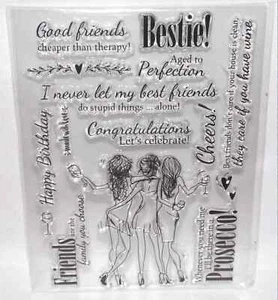 Clear Acryl Stempel 15 Stück Bestie Friends Clear Stamps Girly Spruch kostenloser Versand - Bild 1 von 4