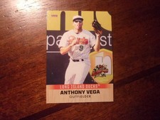 2018 LONG ISLAND DUCKS Choice Minor League Single Cards YOU PICK OBO