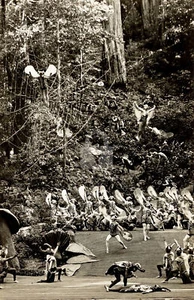 Bohemian Grove Monte Rio, California 6 RPPC Photo Postcard COPY - Picture 1 of 2