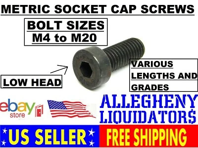 M4-M20 METRIC Black Alloy Steel Allen Hex Socket Cap Low Head Screw Bolt USA NH
