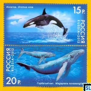 Russland Briefmarken 2012, Wale, Fische, postfrisch - Bild 1 von 1
