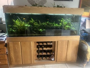 6 Foot Aquarium And Cabinet Complete Set Up. With wine rack! - Picture 1 of 3