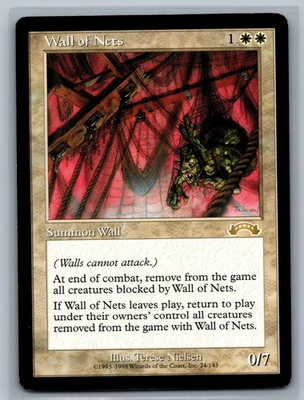 Magic The Gathering Exodus Wall of Nets #24/143 MTG TCG CCG - Image 1 of 2