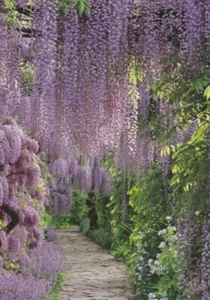 Biglietto GRAZIE scena giardino con segnalibro - Filippiani 1:3 - EB8355 - Foto 1 di 1