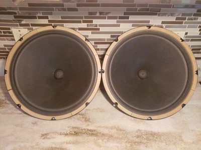 ALTAVOCES JENSEN P15N 15", RANGO COMPLETO, ALNICO, AMPLIFICADOR DE AUDIO DE TUBO G/F 300B, GUITARRA, GUARDABARROS Foto 1 de 4