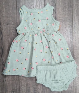 Baby Girl Clothes New Wonderlux 6 Month 2pc Green Spring Flower Dress - Picture 1 of 4