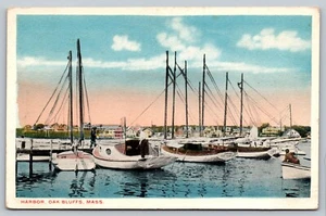 Harbor Oak Bluffs Massachusetts Sailboats Postcard - M6 - Picture 1 of 2