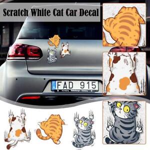3pc Cute Cat Adhesive Vinyl Decal Sticker Funny Animal Car Truck Pet NICE D2D7
