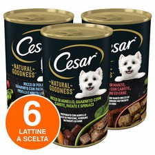 Cesar Natural Goodness Cibo per Cani Adulti Gusto a Scelta - 6...