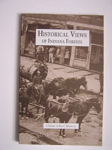 Forestry logging sawmills HISTORICAL VIEWS OF INDIANA FORESTS photo history - Picture 1 of 7