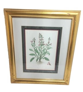 Barbie Tidwell Floral Art "Sage" Signed Numbered 560/750 Framed 18" H X 15" W - Picture 1 of 18