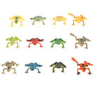 Educational Frog Toy Toad Figurines - Set of 12 - Great for Party Favors