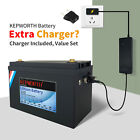 12V 100Ah Lithium Battery LiFePO4 BMS Deep Cycle With Charger Solar Battery