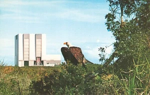 Postal águila calva símbolos de supremacía del Centro Espacial John F. Kennedy de la NASA - Imagen 1 de 2