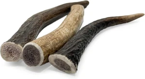 – Pack of 3 Natural Deer Antler Chews for Dogs | Dog Toys for Small Breeds & Pup - Picture 1 of 12