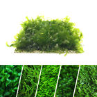 Aquarium Festnetz Pad Netz Gras Pflanze Deko Moos Wasserpflanzen