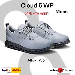 ON Men's Cloud 6 WP ( Alloy/Wolf ) 3MF10063030 Casual Waterproof 2025 New model - Picture 1 of 9