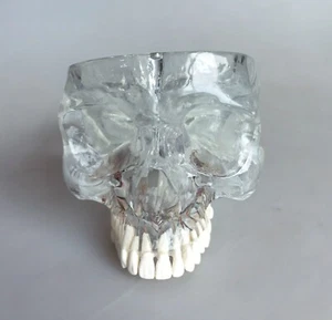 Hueso de mandíbula superior humano 1:1 con vasos nerviosos modelo anatómico médico - Imagen 1 de 5