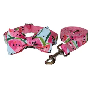 Juego de cuello y correa con estampado de sandía - Imagen 1 de 6